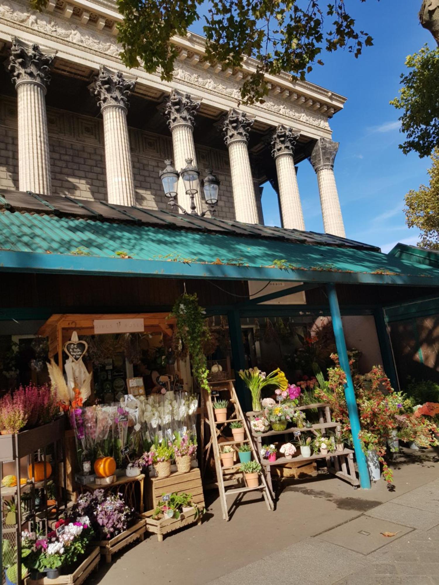 Hôtel Alison Paris Extérieur photo